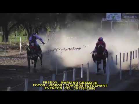 Abilu vs Bichota (Hipico don Lazarte - Atahona - Tucumán