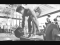 Arnold Schwarzenegger The King