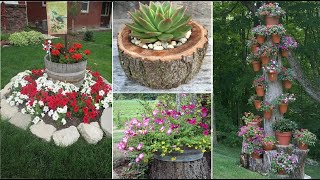 65+Unusual tree stumps as planters for your beautiful plants and flowers