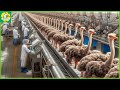 How The Chinese Make $10 Million a Year from Ostrich Farming | Food Factory