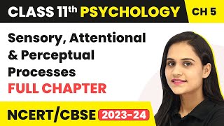 Sensory, Attentional and Perceptual Processes - Full Chapter Explanation | Class 11 Psychology Ch 5