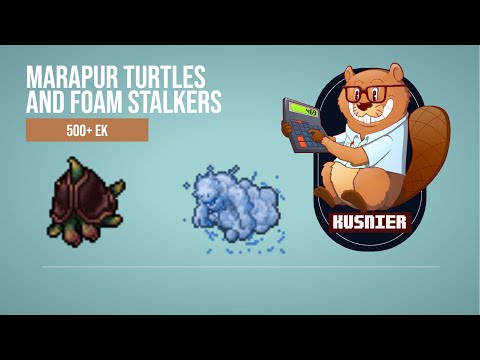 Marapur Turtles | 2.6 kk/h raw | 400+ Knight | Tibia Hunting Guide