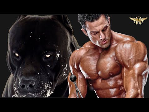 SOY UN PERRO - Motivación para el estilo de vida culturista