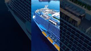 The Most INSANE Cruise Ship Ever 🤯🚢 #shorts #iconoftheseas #msc #travel