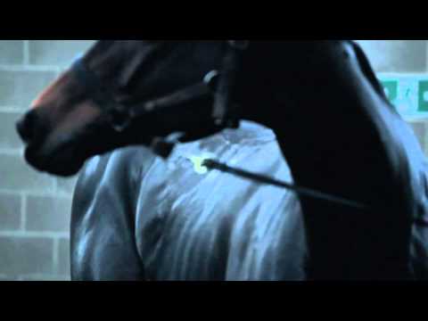 From the Horses Mouth - AP McCoy for Sports Personality of the Year