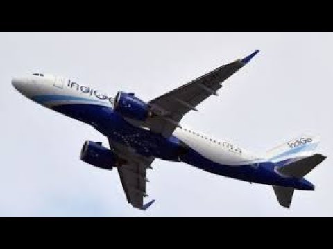 Sachin m kute travail shoot