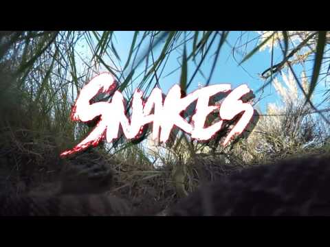 (CURRY MAFIA) Slugz Vlog #2 Snakes