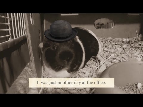 Detective B:  A Guinea Pig Crime Story