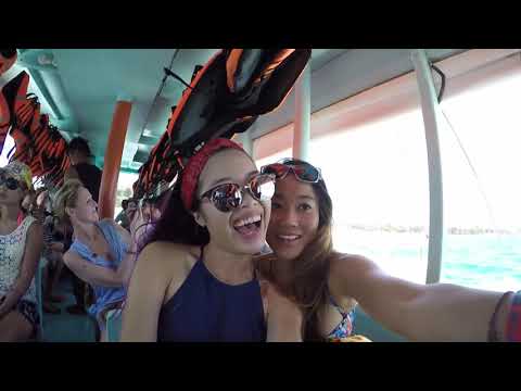 Bihler – Alienation