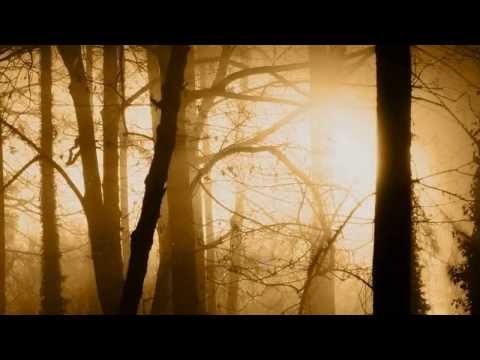 Zegarmistrz Światła - Tadeusz Woźniak