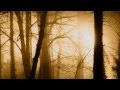 Zegarmistrz Światła - Tadeusz Woźniak 