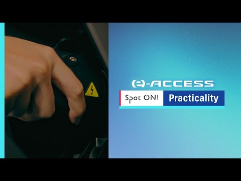 Spot On Practicality