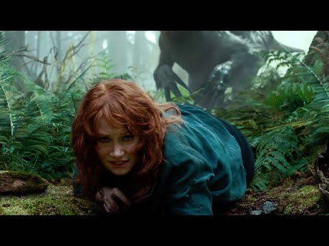 恐竜:謎の巨大な爪