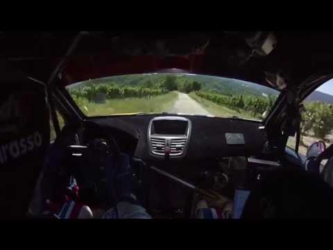 CameraCar 12° Moscato Rally 2013 Marasso - Canuto Peugeot 207 S 2000 1° Assoluti