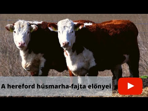 szarvasmarhák férgekhez való készítményei)