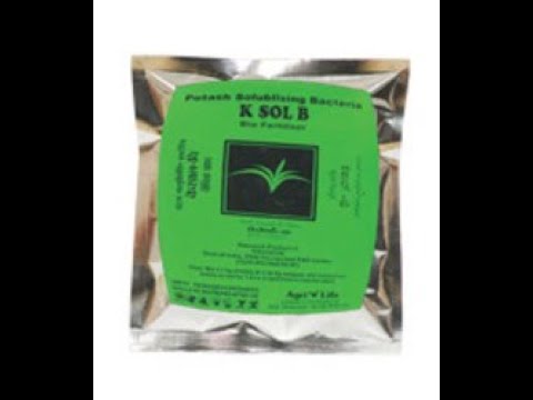 Soil potash mobilizing bacteria k sol b-fa, for seeds, packa...