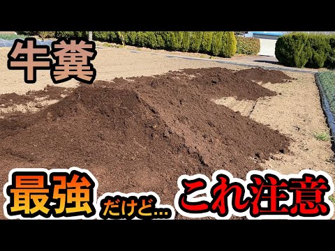 なぜ堆肥に灰を入れるのですか？潜在的な利点とリスク  庭園