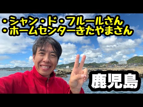 天然の抗生物質: これらの薬用植物には多くの効果があります トピックス