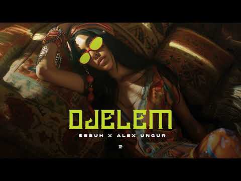 Cojocaru Sebastian and AUniverse