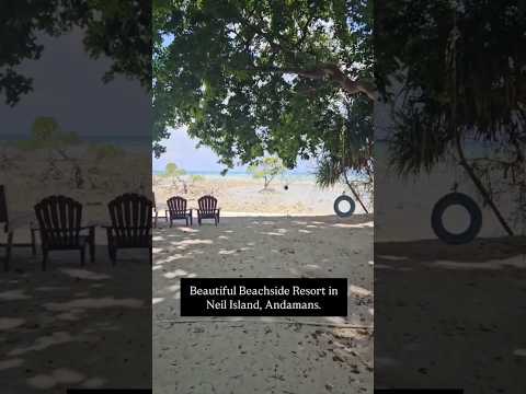 Beautiful Beach Resort in Neil Island, Andamans | Coco N Huts Resort #andaman #travel #neilisland