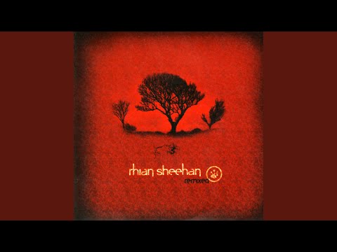 Te Karanga (Module Remix)