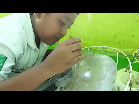 adiwiyata - Perawatan dan Pemeliharaan Kipas Angin