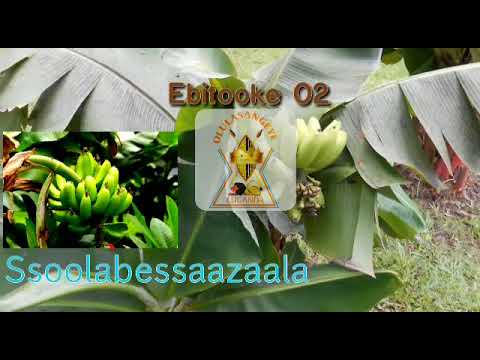 OMUGANDA N'EKITOOKE - EKITUNDU EKYOKUBIRI.