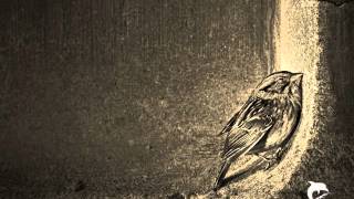 Rain- The Silver Apples of the Moon