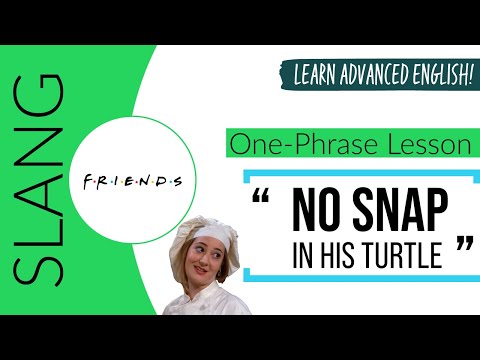 image-What does snap in means?