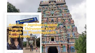 Temple video