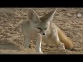 Babyfirst Safari Scrapbook Fox