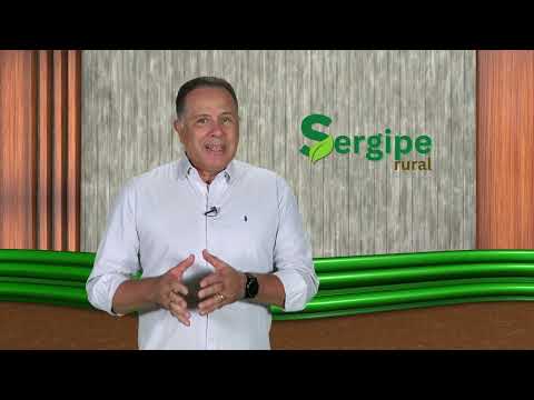 SERGIPE RURAL - PROGRAMA 22 - 2ª temporada