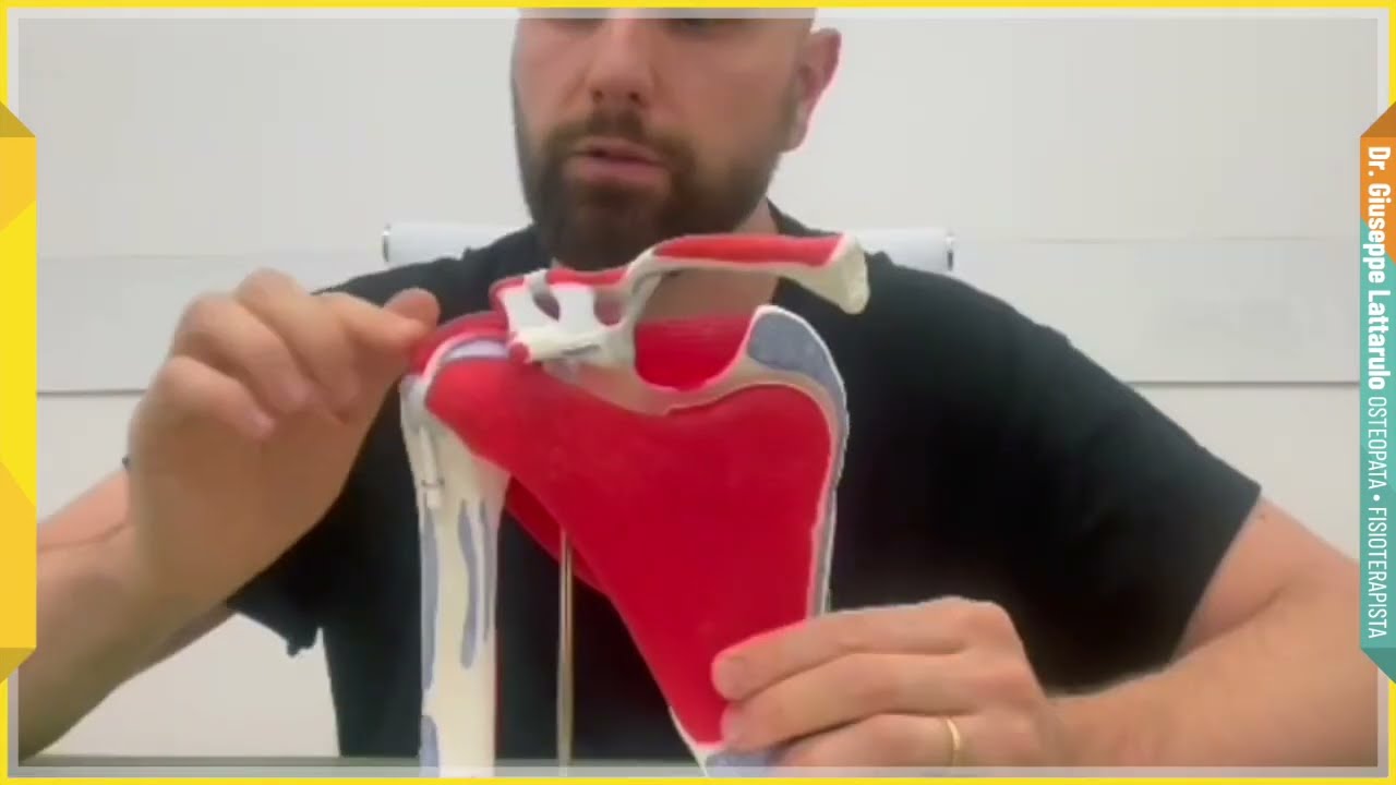 Giuseppe Lattarulo-25