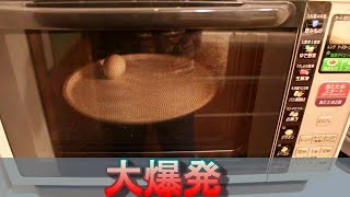 【実験】卵を電子レンジに入れると...