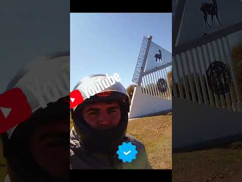 Ciervo 🦌 Petiso, Provincia del Chaco 🇦🇷 #viajeros #argentina