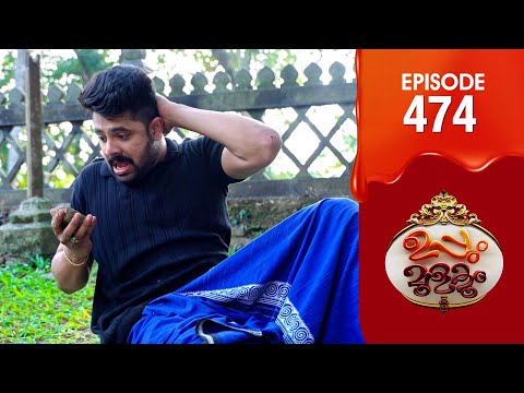 Uppum Mulakum 3 | Flowers | EP #474