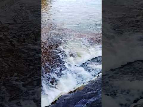 Río Los Sauces en el centro de Mina Clavero, Traslasierras, Córdoba, Argentina.#minaclavero