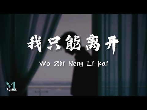 Yan Ren Zhong (顔人中) -  Wo Zhi Neng Li Kai (我只能离开) Lyrics 歌词 Pinyin/English Translation (動態歌詞)