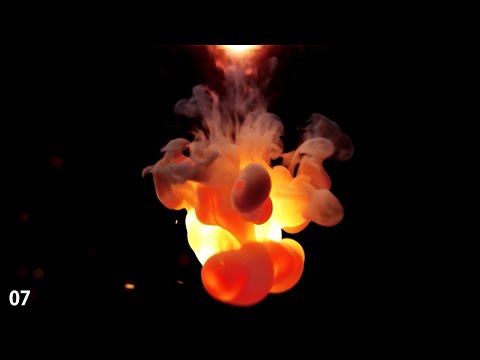 +10 New FREE Intro Templates AFTER EFFECTS / NO COPYRIGHT