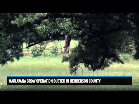 Busted Newspaper Henderson Ky