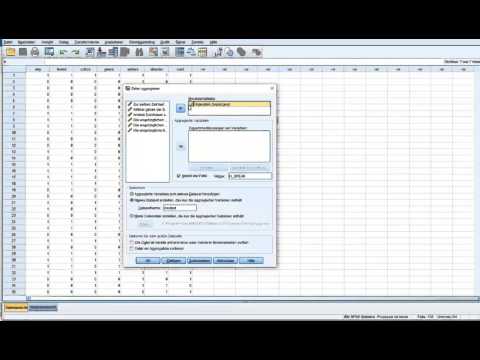 Spss 23 Daten aggregieren