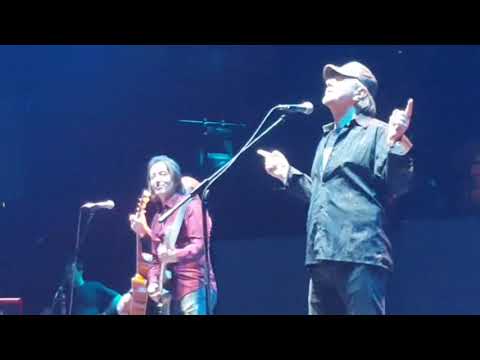 Divlje Jagode - Krivo je more (live Beograd 2018)