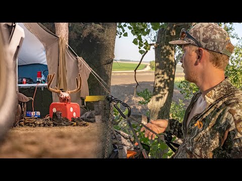 OVERLOOKED EARLY SEASON WHITETAIL HUNTING TACTICS