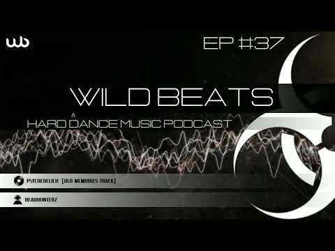 Wild Beats Ep #37, mixed by Wild Master & Noisy Boy