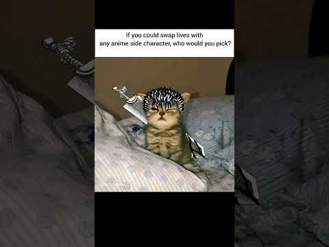 If you could swap lives with any anime side character, who would you pick?