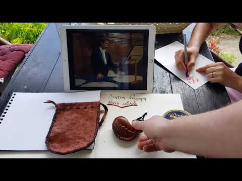 Revyagin system - reverse calabash fish