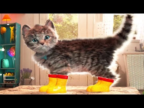 Play Fun Pet Care Game - Little Kitten Adventures (New Update) - Fun Costume Dress-Up Party Gameplay