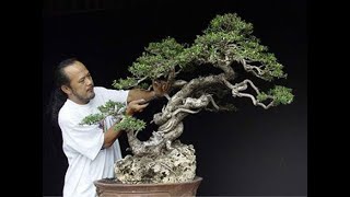 Download lagu BONSAI INSPIRASI KARYA ROBERT STEVEN mp3