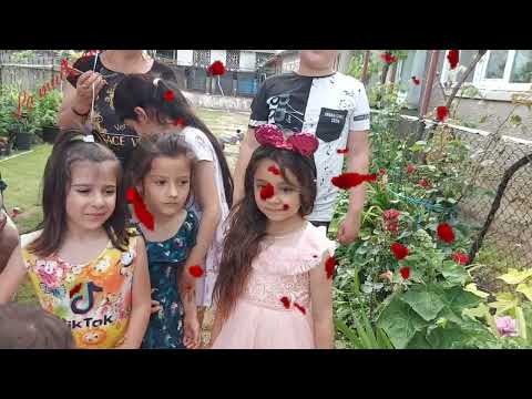 Rozalinda 5 anisori...catane