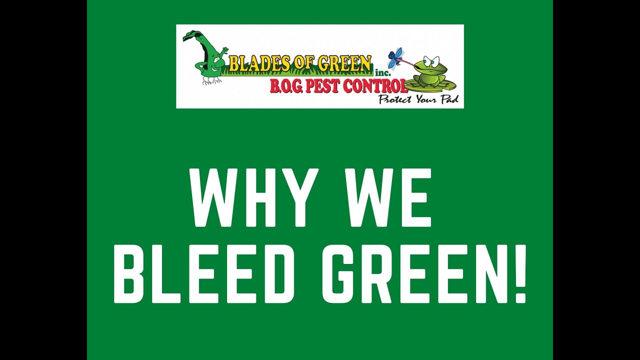 B.O.G. Careers People are our passion, and we've created a culture